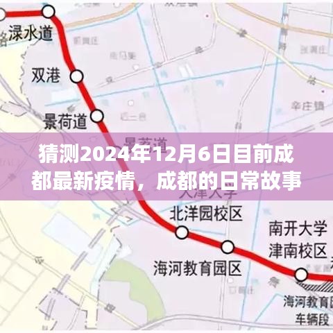 猜测2024年12月6日目前成都最新疫情，成都的日常故事，疫情下的温情预测与家的温暖时光
