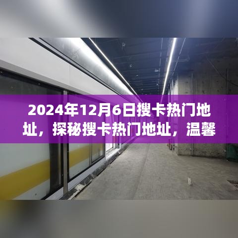 2024年12月6日搜卡热门地址，探秘搜卡热门地址，温馨之旅，友谊的魔法时刻