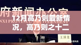 12月高乃则最新情况，高乃则之十二月最新进展，全面解读产品特性、使用体验、竞品对比及目标用户群体