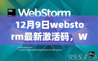 12月9日WebStorm最新激活码之争，视角与探讨