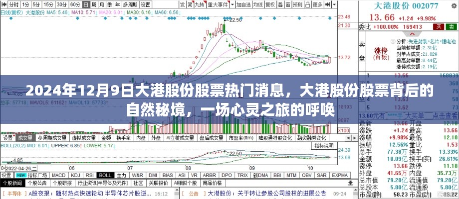 大港股份股票背后的自然秘境，心灵之旅呼唤与热门消息揭秘