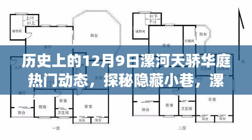 揭秘漯河天骄华庭背后的故事，隐藏小巷与独特风味动态回顾