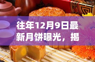 往年12月9日最新月饼曝光，揭秘往年12月9日最新月饼曝光，品质与创新之争