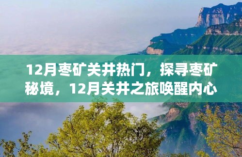 gangjumuzhang 第6页