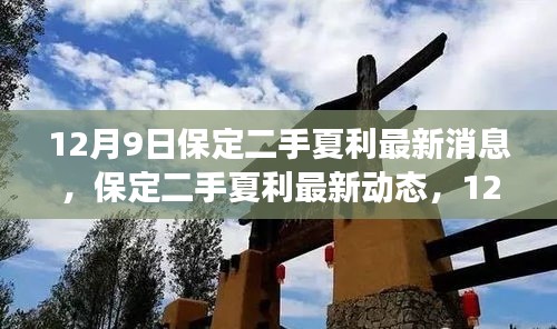 保定二手夏利最新动态回顾与展望，12月9日最新消息