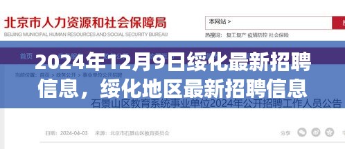 2024年12月9日绥化最新招聘信息深度解析与测评
