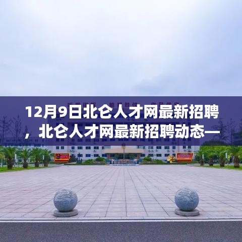 北仑人才网最新招聘动态，职场人的新机遇来临