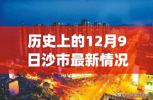 温馨沙市日常，友谊、爱与陪伴的十二月九日故事回顾