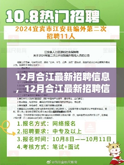 12月合江最新招聘信息全面解析与介绍
