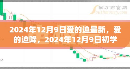 爱的迫降，初学者与进阶用户指南（2024年12月9日最新）