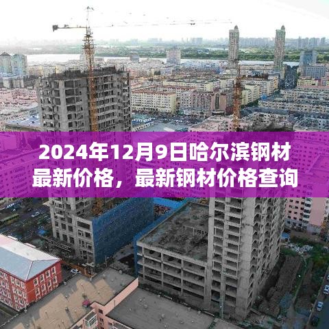 2024年12月9日哈尔滨钢材最新价格及查询指南