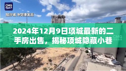 揭秘项城隐藏小巷的独特小店，二手房新发现，领略别样生活风采（项城最新二手房出售信息）