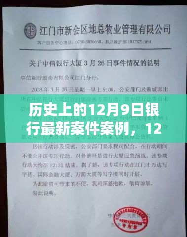 揭秘银行暖心故事，意外奇遇与暖心故事背后的真相（12月9日最新案例）