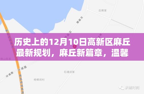 高新区麻丘最新规划揭晓，温馨规划日启动，描绘未来新篇章