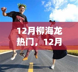 柳海龙产品深度解析，特性、体验与目标用户群体探讨，成为十二月热门之选