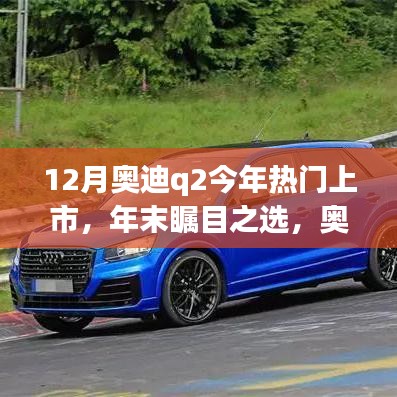 年末瞩目之选，奥迪Q2热潮涌动与市场影响分析