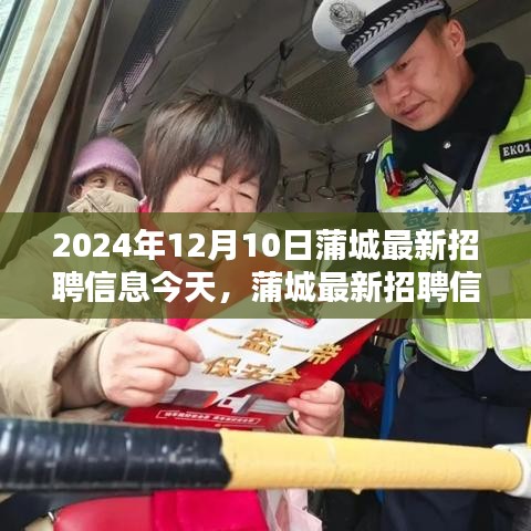 蒲城最新招聘信息获取全攻略，初学者与进阶用户皆宜（2024年12月10日）