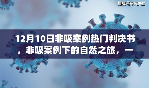 非吸案例下的心灵探索，一次寻找内心平静的十二月奇妙之旅