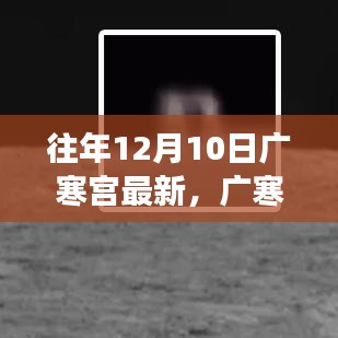 广寒宫魅力揭秘，天文现象解读与观点碰撞的盛宴——历年十二月十日回顾与展望