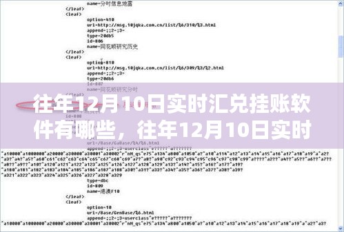 往年12月10日实时汇兑挂账软件概览与综述