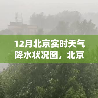 mingmuzhangdan 第5页
