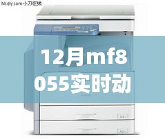 多方观点深度解析，12月MF8055实时动态