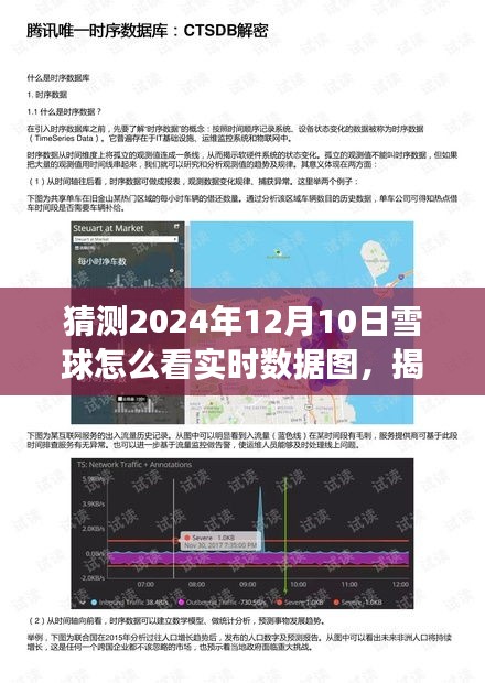 揭秘未来，专业解读与分析2024年雪球实时数据图——策略建议与实时数据图展望