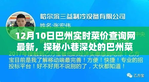 揭秘巴州菜价宝藏，小巷深处的惊喜与最新实时菜价查询热点