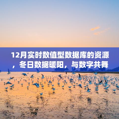 冬日数据暖阳，实时数值型数据库资源与日常数字趣事探索