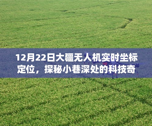 daxuefenfei 第4页