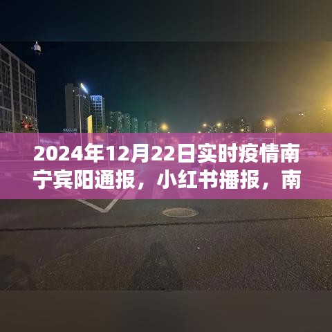 南宁宾阳最新实时疫情动态播报（2024年12月22日更新）