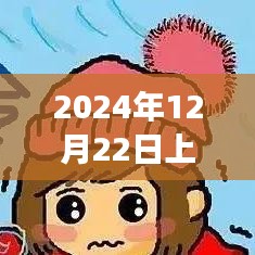 2024年12月22日上海野生动物园实时天气体验与全面评测报告