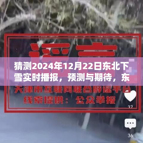 东北2024年12月22日雪降预测与期待，雪的实时播报与期待下雪情景