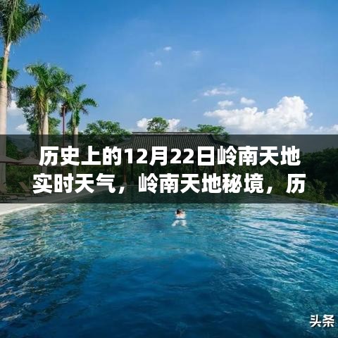 12月22日岭南天地实时天气与秘境小巷的独特风味