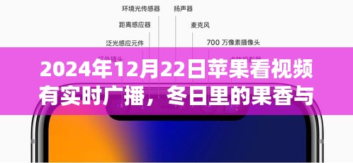 苹果实时广播日，冬日果香与温情相伴的时光