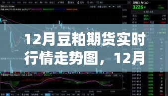 12月豆粕期货实时行情走势图解析及操作指南