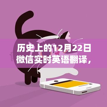 weifenglinlin 第4页