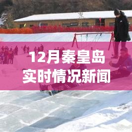 冬日的秦皇岛，活力涌动与学习的力量展现实时新闻报道