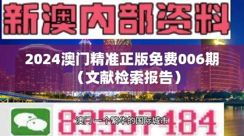 2024澳门精准正版免费006期（文献检索报告）