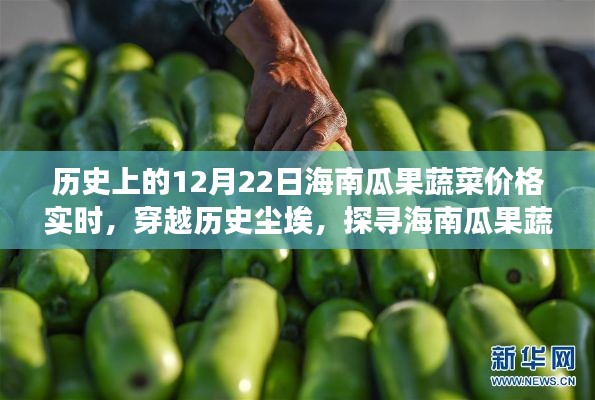 海南瓜果蔬菜价格历史实时追踪，探寻静谧之旅的12月22日