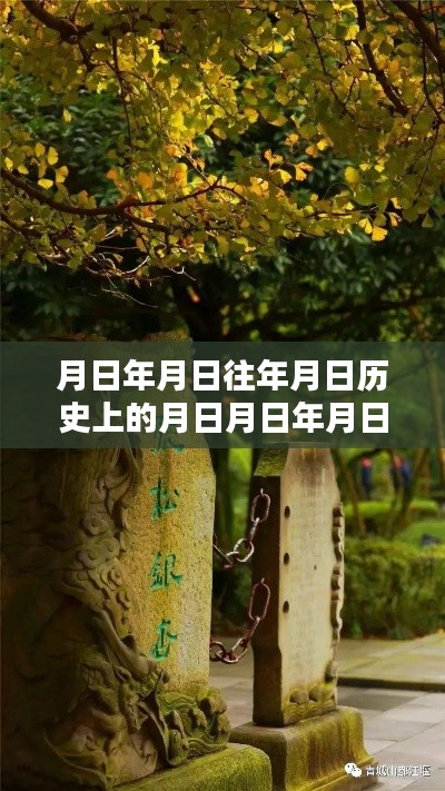 bogutongjin 第3页