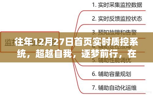 超越自我，逐梦前行，实时质控系统的启示与成长之路