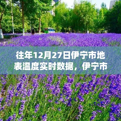 伊宁市12月27日地表温度实时数据与暖心之旅探索