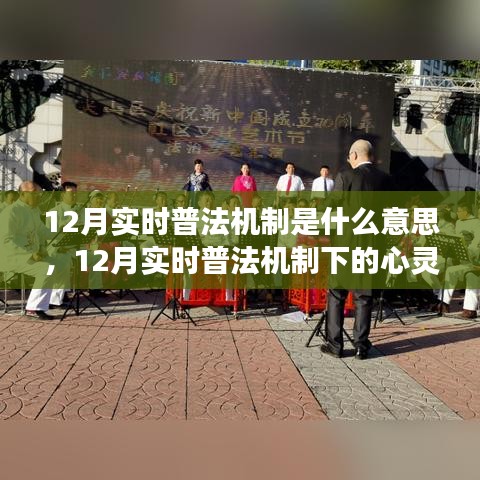 12月实时普法机制下的心灵与自然之旅，探寻内心宁静