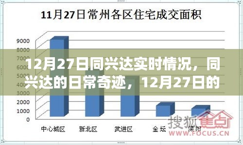 同兴达日常奇迹，12月27日的实时进展与温馨时光