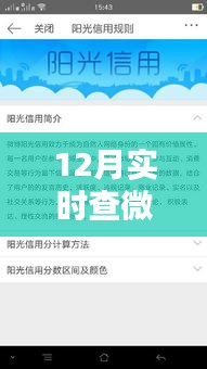 微博阳光信用报告全面测评，特性、体验与竞品对比，12月实时查报告深度解析