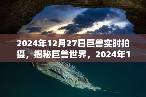 揭秘巨兽世界，深度解析实时拍摄之旅（2024年12月27日）