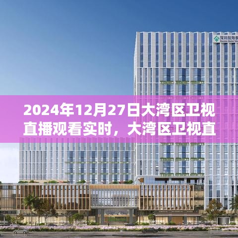 大湾区卫视直播之夜，2024年12月27日视听盛宴实时观看
