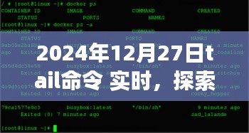 探索自然美景之旅，Tail命令下的宁静时光与奇妙发现（实时更新）