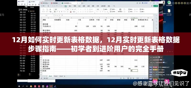 从入门到精通，12月实时更新表格数据步骤指南与技巧手册